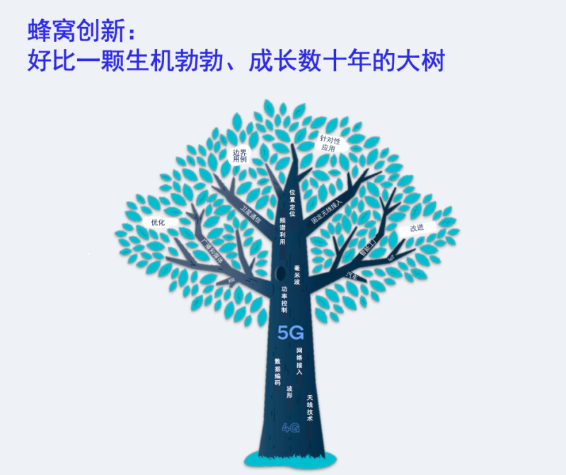 微信图片_20241126134227.png