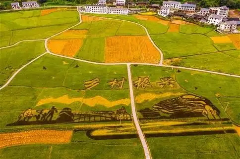 民政部 国家邮政局关于加强地邮协作助力乡村振兴的通知